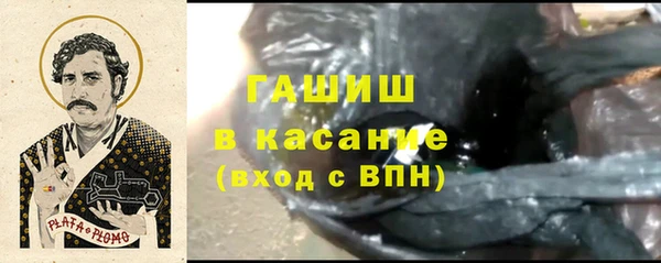 твердый Ельня