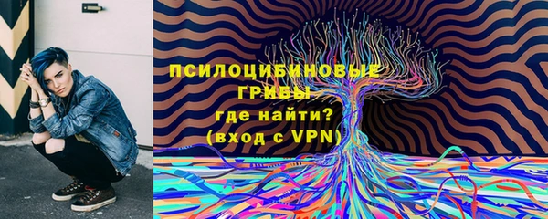 амфетамин Елизово