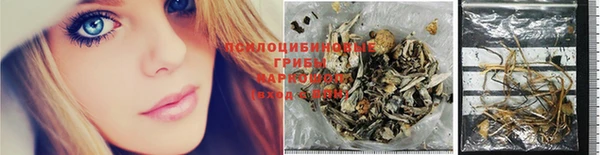 твердый Ельня