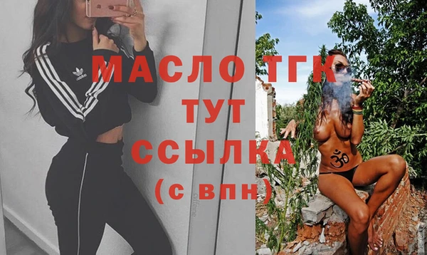 твердый Ельня