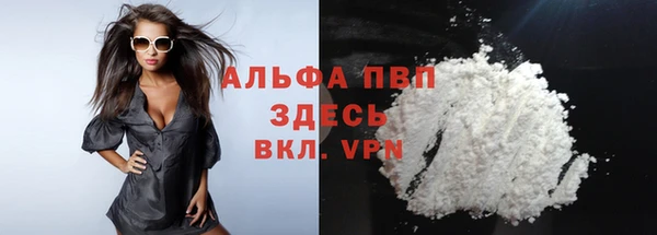 твердый Ельня