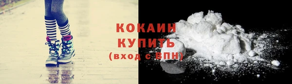 твердый Ельня