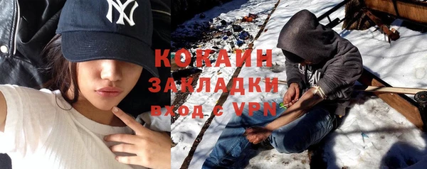 твердый Ельня