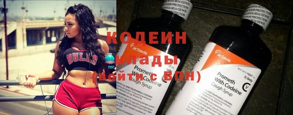 твердый Ельня