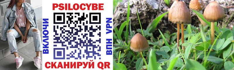 Псилоцибиновые грибы мицелий  Купить  Никольское 
